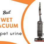 Best Wet Vacuum for Pet Urine