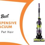 Best Inexpensive Vacuum for Pet Hair